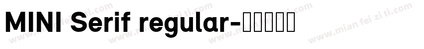 MINI Serif regular字体转换